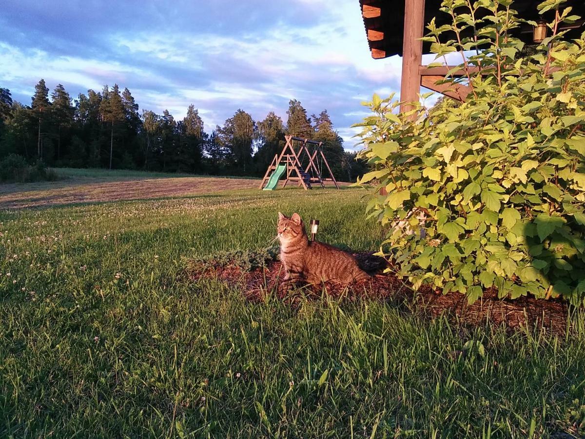 Вилла Liepziedos Эдоле Экстерьер фото